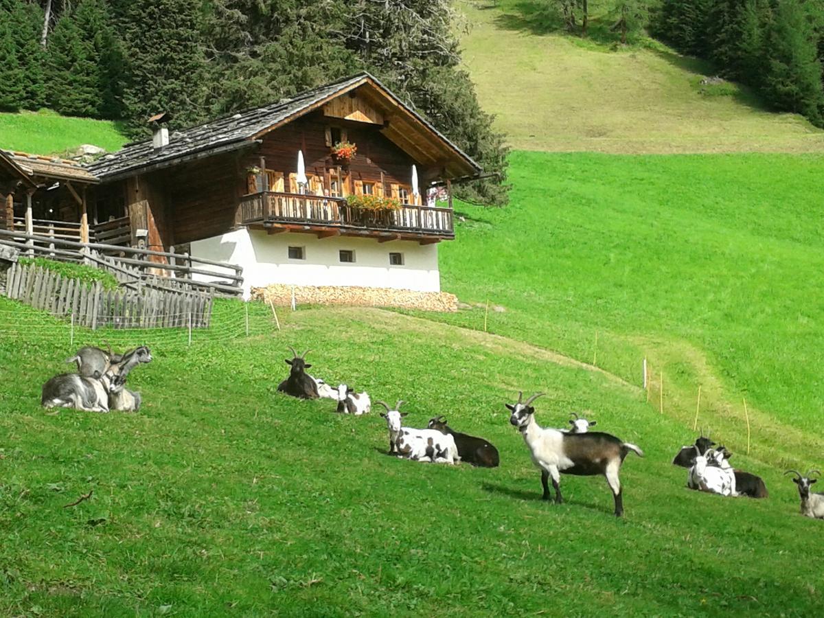 Hotel Poernbacher Valdaora Kültér fotó